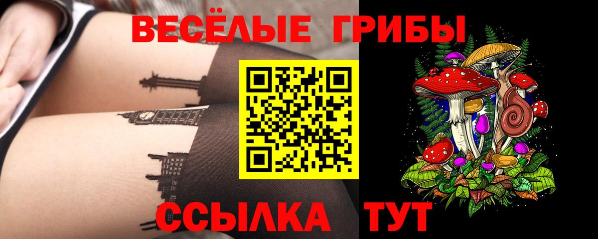 Галлюциногенные грибы MAGIC MUSHROOMS  Вход с VPN  Донецк  Псилоцибиновые грибы мицелий 